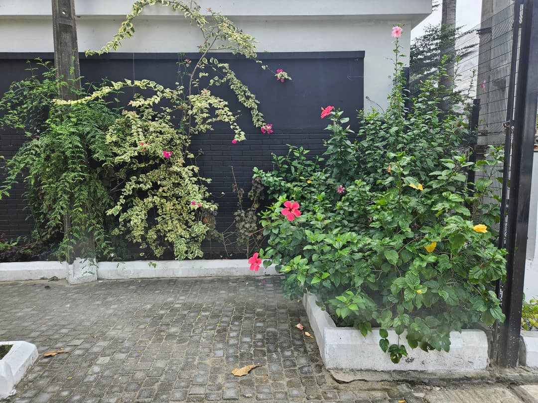 Landscaping